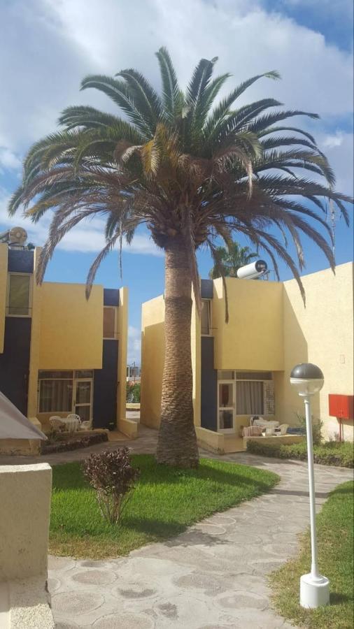 Duplex El Cortijo, Lasamericas Playa de las Americas  Luaran gambar